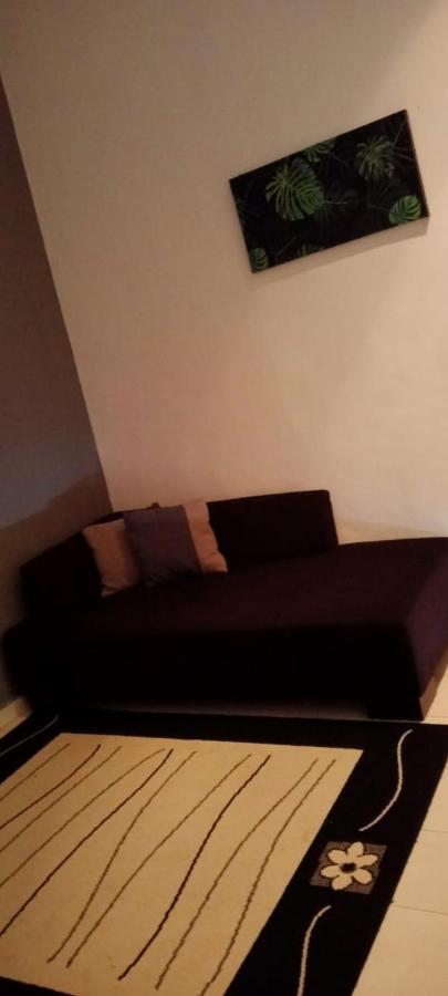Belebar Studio Room Taman Negara Pahang Malaysia Куала-Тахан Экстерьер фото